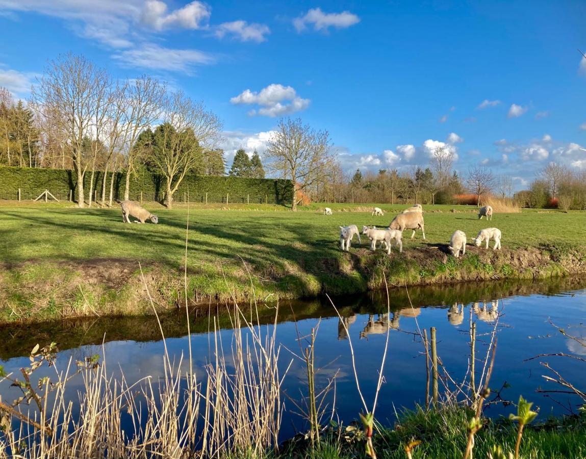 Lodges Near The Rhine - Sustainable Residence Hazerswoude-Rijndijk Buitenkant foto